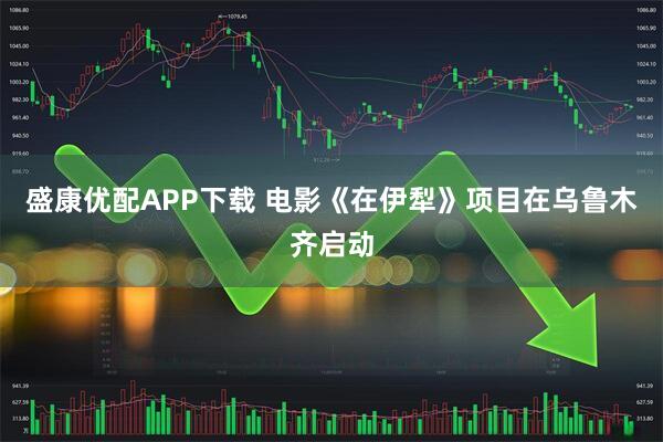 盛康优配APP下载 电影《在伊犁》项目在乌鲁木齐启动
